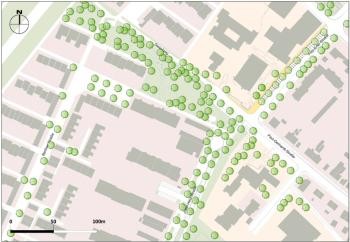 Plan mit Grünflächen, Straßen, Bäumen und Flächenfüllungen