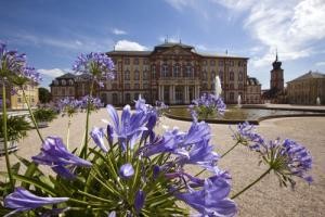 Barockschloss Bruchsal im Hintergrund, im Vordergrund lilafarbene Sommerblumen