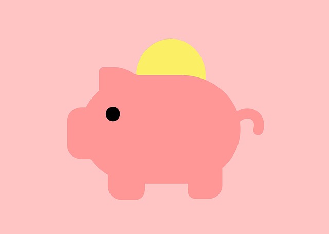 Sparschwein mit Münze