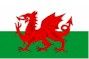 Bild zeigt die Nationalflagge der Region Wales in Großbritannien: Roter Drache mit weiß grünem Hintergrund