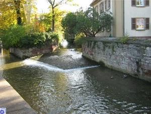 Wohnhäuser und Bäume neben der Saalbach