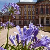 Foto von Schloss Bruchsal mit lila Blüten im Vordergrund, Foto: SSG/Achim Mende
