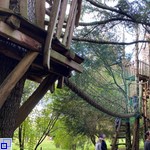 Hängebrücke zwischen zwei Bäumen im Wald