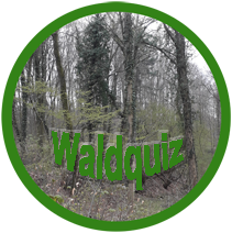 Waldbäume und belaubter Bogen in einem grün umrandeten Kreis; Schriftzug: Waldquiz